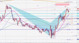 ユーロドルのシャーク EURUSD Shark Weekly Chart 24 Jan 2021