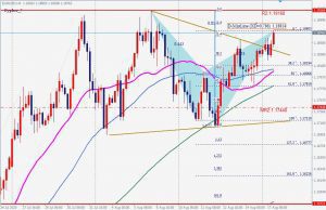 ユーロドルの売りのサイファー EURUSD bearish cypher 17 Aug 2020