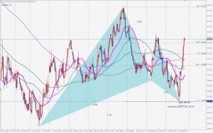 DXY Gartley price action ドルインデックスのガートレーからのプライスアクション 28 Feb 2021