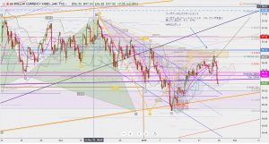 DXY whiteswan ドルインデックス ホワイトスワン 27 Jan 2019