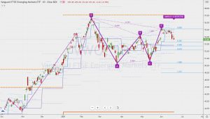 VWO Bearish Gartley VWO売りのガートレー 20 June 2021