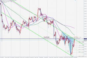 Silver Bearish Whiteswan シルバーのベアリッシュなホワイトスワン 2 Oct 2021