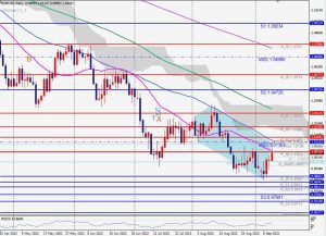 EURUSD Bearish 5-0 pattern ユーロドル5-0パターン 10 Sep 2022