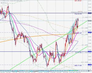 Silver Bearish Blackswan シルバーのブラックスワン 21 Dec 2022