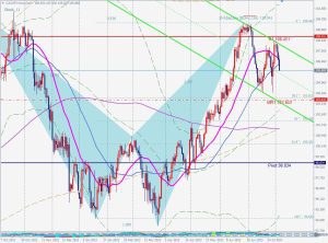 CADJPY Shark カナダドル円のシャークパターン 5 Aug 2023