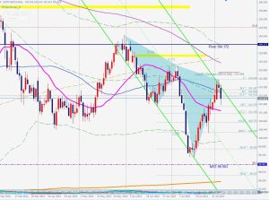 DXY Whiteswan ドルインデックス ホワイトスワン 5 Aug 2023