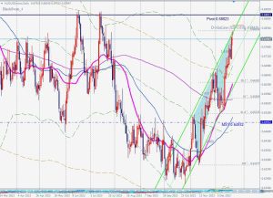 AUDUSD Blackswan 年ピボットポイント 23 Dec 2023