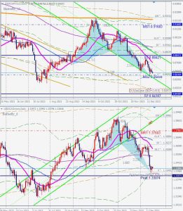 USDCAD USDCHF Butterfly バタフライパターン 19 Dec 2023