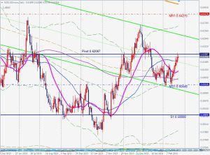 NZDUSD レジスタンス 25 Feb2024