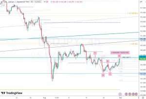 USDJPY ドル円 31 August 2024