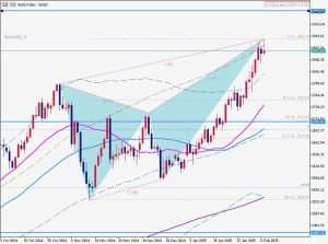 8 Feb 2025 Gold ゴールド