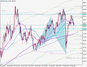 Silver シルバー シャークパターン 2 May 2025