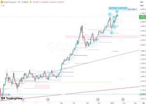 16 Jan 2026 Gold 金のバタフライ